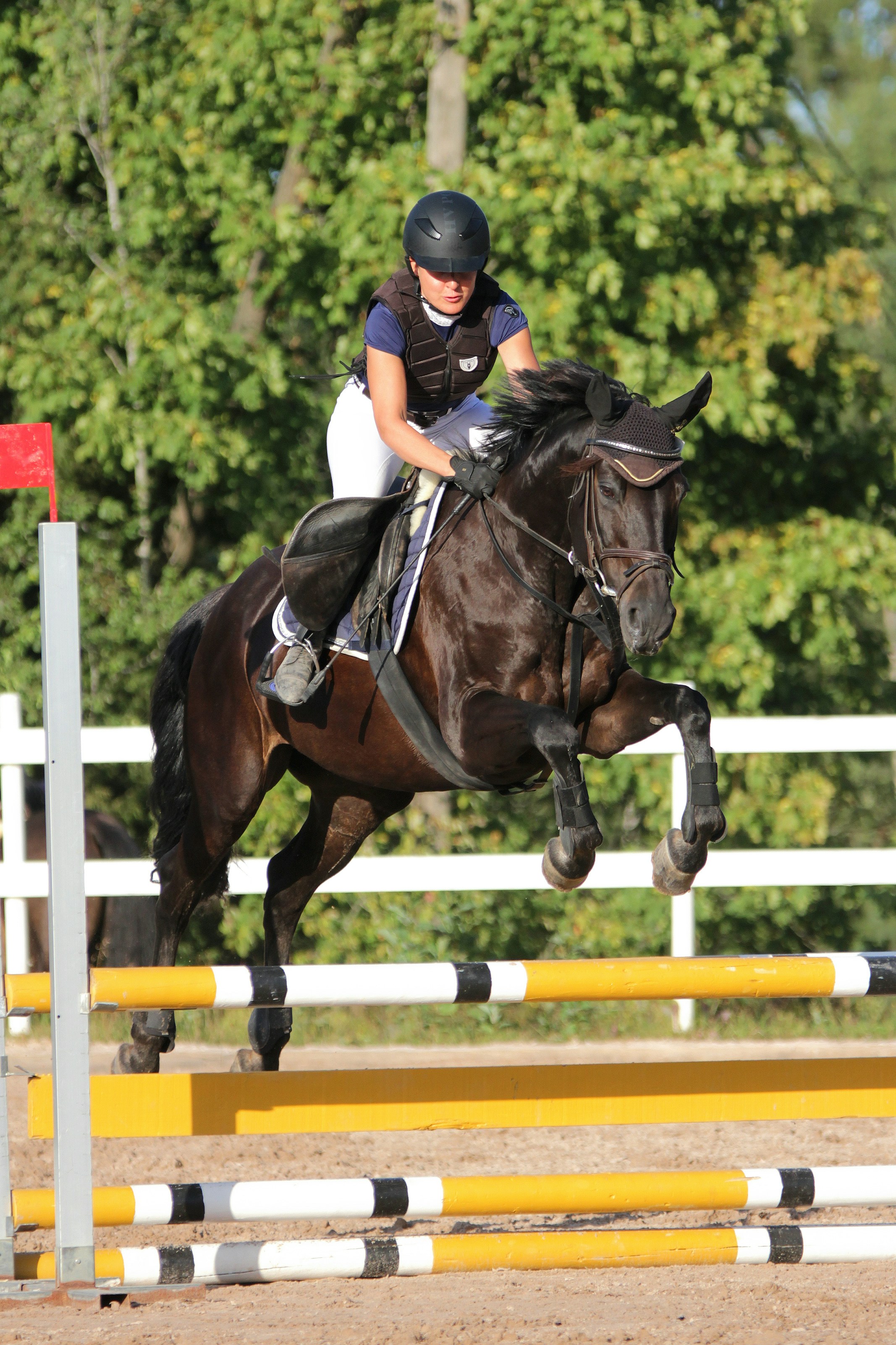 Horse Riding