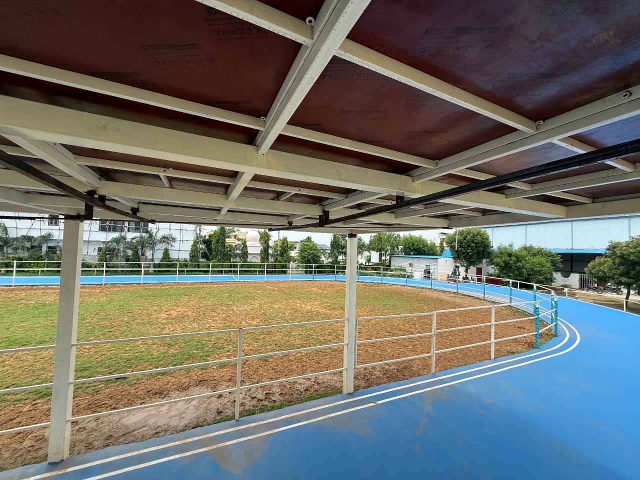 Skating Rink